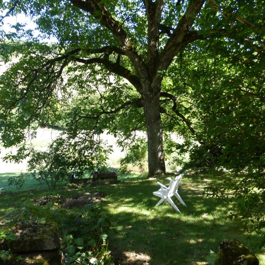 Le Bourmier Anlhiac Near Excideuil Villa Exterior photo